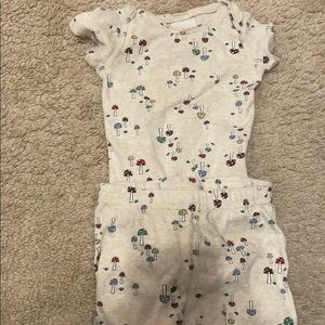 Matching wooded mushroom set